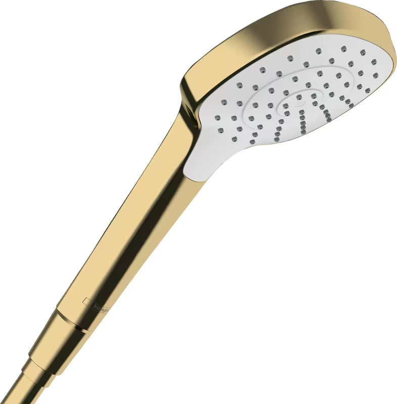 Ruční sprcha Hansgrohe Croma gold s proudem Rain a průměrem 110 mm