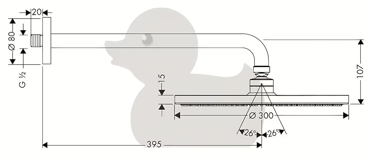 Chromová hlavová sprcha Hansgrohe Raindance S 300 mm včetně sprchového ramena pro montáž na stěnu.