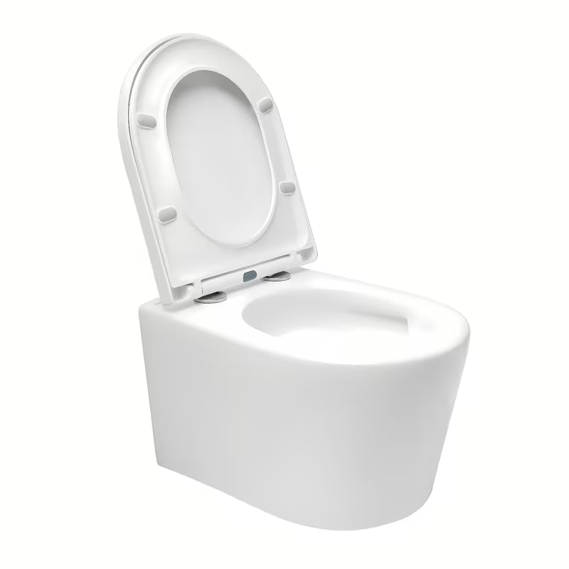 Závěsné WC SAT Brevis v bílé barvě se sedátkem SoftClose a skrytým uchycením.