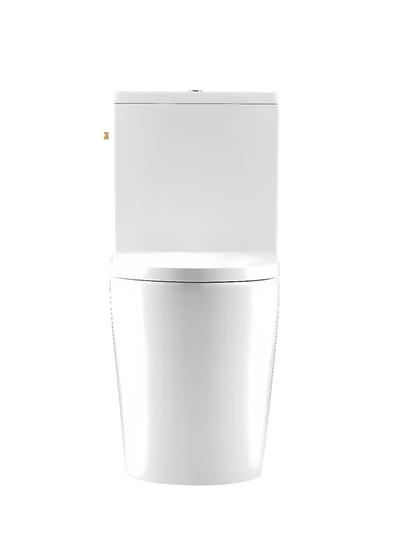 Bílé volně stojící WC kombi SAT Brevis s nádržkou, sedátkem SoftClose a vario odpadem