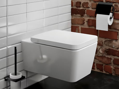 Nástěnná WC štětka hansgrohe AddStoris v matné černé s držákem z kovu a skla