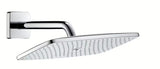 Hansgrohe Raindance E hlavová sprcha se sprchovým ramenem v chromovém provedení