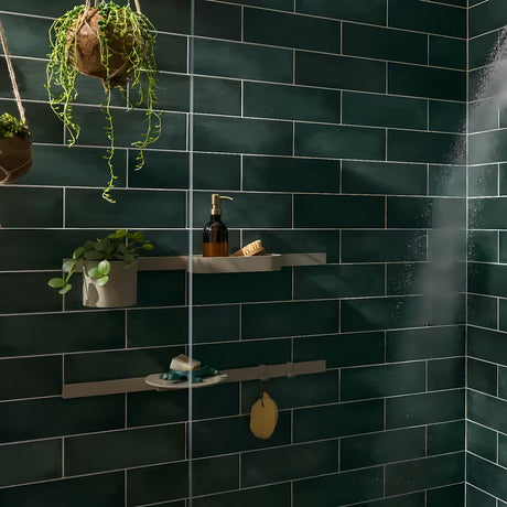 Béžová sprchová polička hansgrohe WallStoris Planet Edition pro uložení šamponu a sprchových potřeb