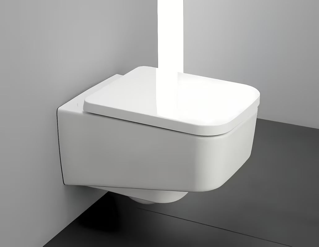 Bílé WC sedátko Laufen Pro z duroplastu s poklopem a technologií SoftClose pro pomalé sklápění.
