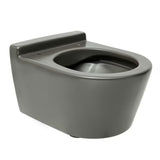 Závěsné WC Roca Inspira v matné barvě onyx s bezokrajovým provedením Rimless a skrytým uchycením.
